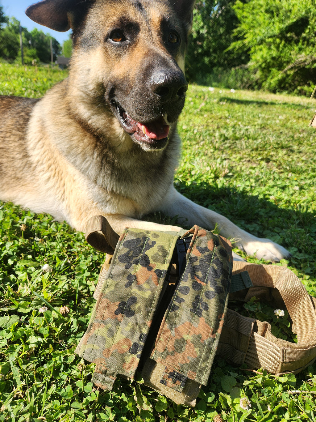 Flecktarn Concealment Skin