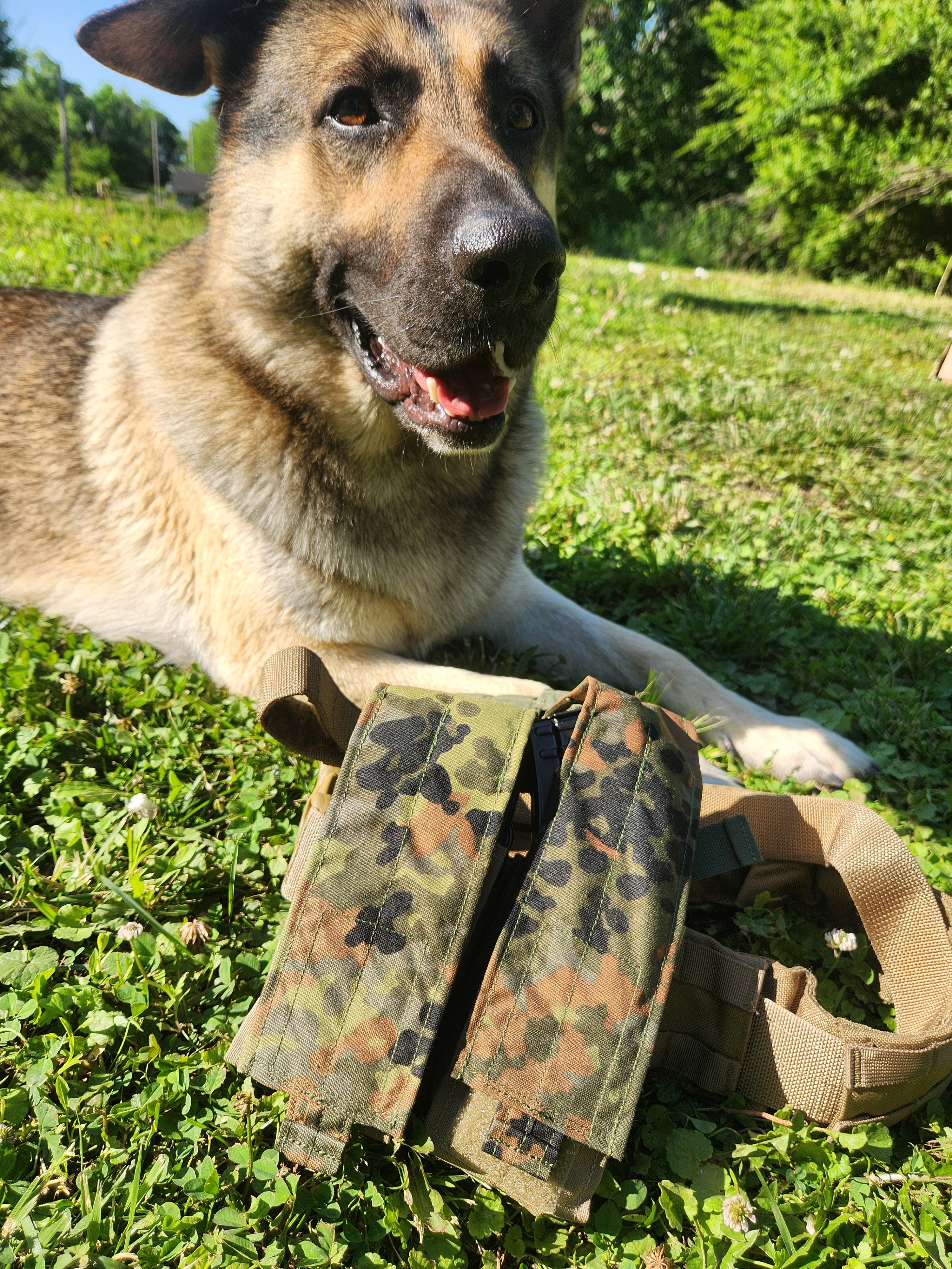 Flecktarn Concealment Skin