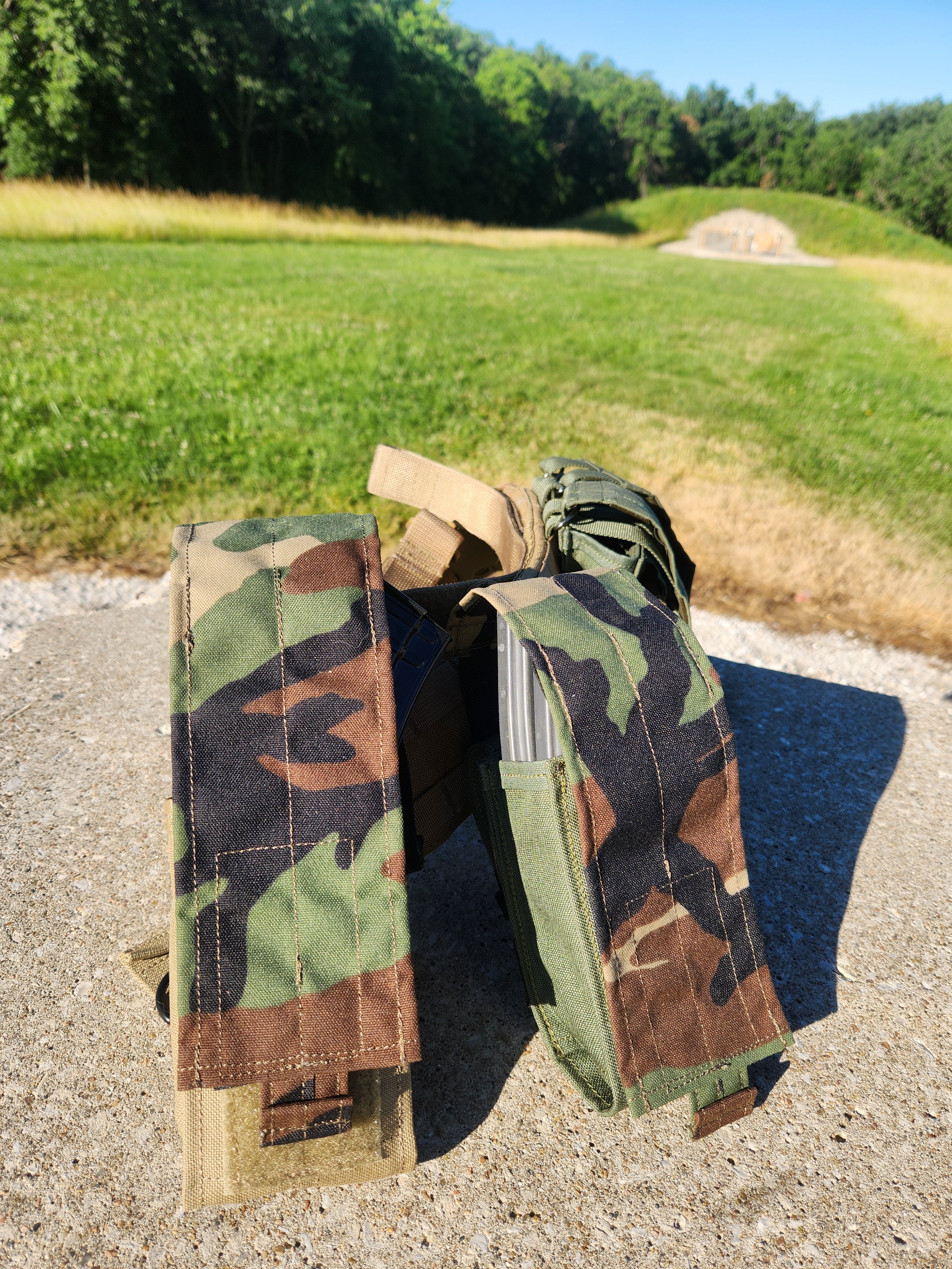 M81 Woodland Concealment Skin